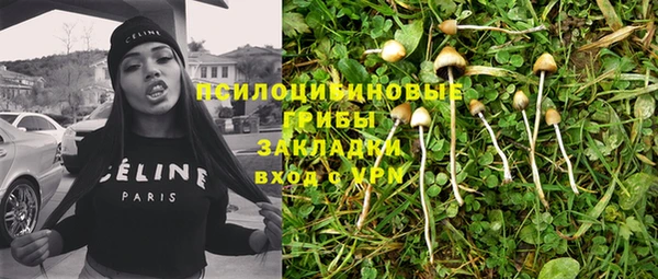 прущий лед Алексеевка