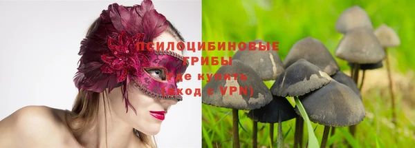 jwh Алзамай
