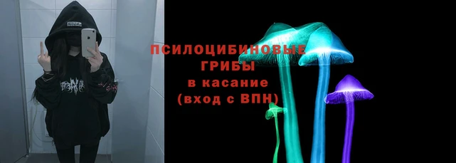 jwh Алзамай