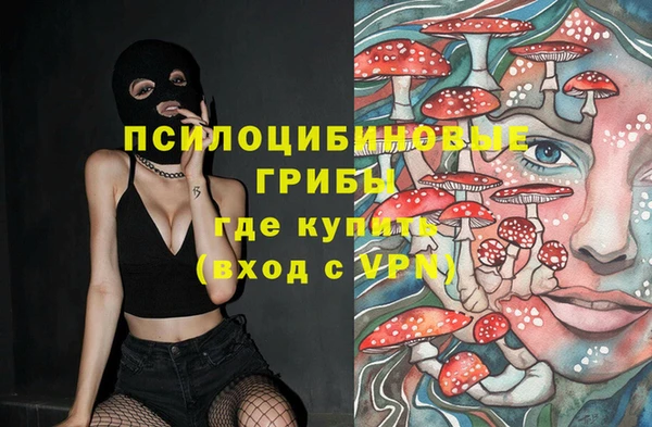 прущий лед Алексеевка