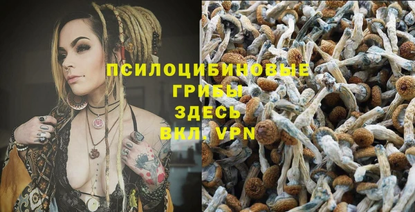 spice Алексин