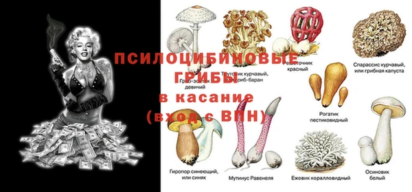 прущий лед Алексеевка