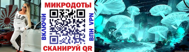 Галлюциногенные грибы Psilocybine cubensis  Анжеро-Судженск 
