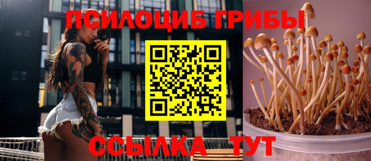 Галлюциногенные грибы Cubensis  магазин продажи   Галлюциногенные грибы MAGIC MUSHROOMS  Анжеро-Судженск  Вход с VPN 