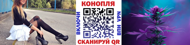 как найти   Анжеро-Судженск  МАРИХУАНА индика 